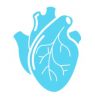 human-heart-organ-icon-simple-style-vector-17124454 (1)